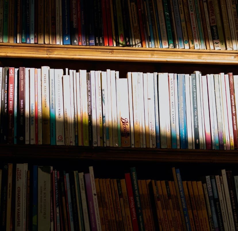 Dos alocadas hipótesis sobre la cultura literaria santiagueña